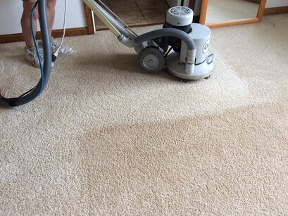 carpet cleaning in Eugene before and after