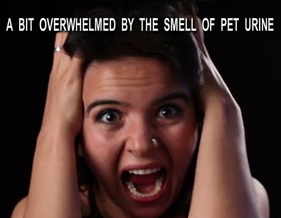 carpet cleaning in Eugene woman overwhelmed by the smell og pet urine